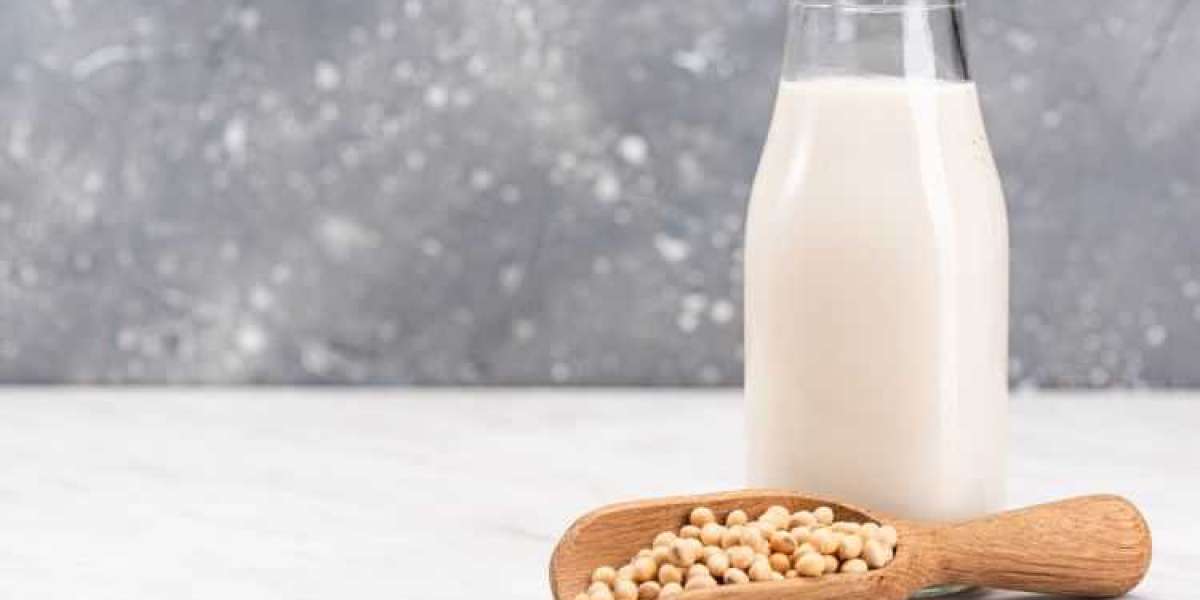 The Rise of Dairy Alternatives in Europe: Trends and Market Growth