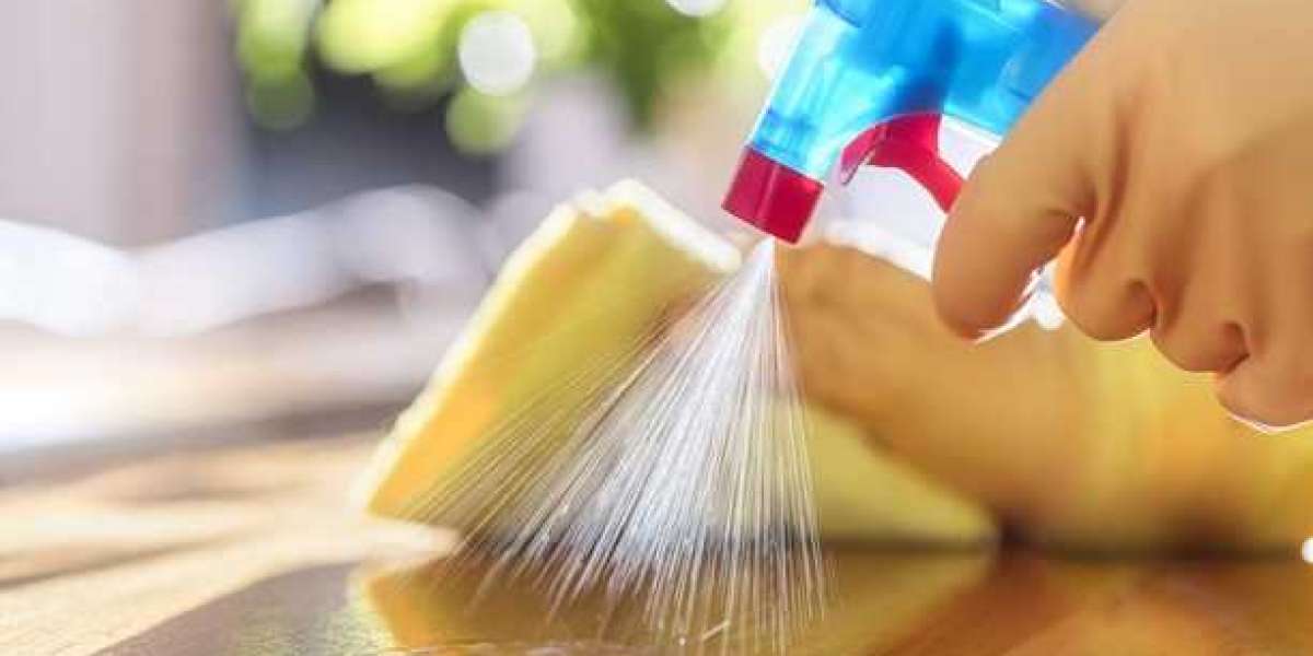 Hospital Disinfectant Products & Services Market Trends, Share & Forecast Report to 2032